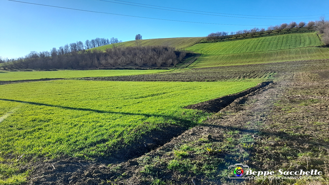 20230110_144235 - Dalla terra... il grano.jpg